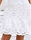 preiswerte Weiße Spitzenkleider-Damen Minikleid A Linie Kleid Sommerkleid Kleid mit Lochstickerei Urlaub Lässig Täglich Normale Passform Grafik Kurzarm V Ausschnitt Weiß Sommer