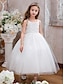 baratos Vestidos para Menina das Flores de Casamento-Vestido de Daminha de Flores Longo até o Tornozelo Quinceanera Sofia Rapunzel Meninas Vestido Fofo de Festas Tule com Aplicações Mini Vestido de Noiva de 3 a 16 Anos