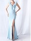 baratos AZUL-Vestidos de Quinceanera Sereia  Trompete Vestido Elegante Convidada de Casamento Longo Sem Mangas Decote em V Spandex com Babados