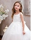 baratos Vestidos para Menina das Flores de Casamento-Vestido de Daminha de Flores Longo até o Tornozelo Quinceanera Sofia Rapunzel Meninas Vestido Fofo de Festas Tule com Aplicações Mini Vestido de Noiva de 3 a 16 Anos