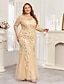 cheap Semi-formal / Cocktail-Mermaid Trumpet Floor Length Evening Gown Sparkle Plus Size Mother Of The Bride Long Sleeve Crew Neck Formal Champagne Mother Of the Bride Dress Tulle with Embroidery