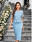 preiswerte Mamas Kleider-Kleid Mutter der Braut Kleid Elegant Party Rundhalsausschnitt Knielang Polyester Kurzarm mit uni-Farbe 2025