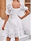 preiswerte Weiße Spitzenkleider-Damen Minikleid A Linie Kleid Sommerkleid Kleid mit Lochstickerei Urlaub Lässig Täglich Normale Passform Grafik Kurzarm V Ausschnitt Weiß Sommer