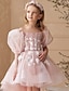 halpa lapset tutus-Klassinen tuntuva polvipituinen kukkamme quinceanera Frozen Elsa tytöille söpö valmistujaismekko tylli ryppyillä kuninkaallisessa tyylissä tutu sopii 3-16 vuotiaille