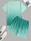 abordables Ensembles de t-shirts imprimés pour hommes-Homme A Ombre Palmier 2 pièces Ensembles de tees Hauts d&#039;été Manche Courte Pantalon court Col ras du cou Vacances à la Plage Sport Quotidien Sortir Impression 3D Été Blanche Bleu Vert