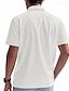 preiswerte Klassisches Poloshirt für Herren-Herren Golfshirt Piqué-Poloshirt Geschäft Lässig Revers Kurzarm Mode Basic Einfarbig Texture Knöpfe Sommer Frühling &amp; Herbst Normale Passform Dunkelbraun Weiß Hellgrau Grün Khaki Hellblau Golfshirt