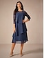 preiswerte abendkleider-Damen Teelänge Spitzenkleid Partykleid Cocktailkleid Kleid für Hochzeitsgäste Mode Party Modern Urlaub Hochzeitsgast Cocktailparty Normale Passform Einfarbig Langarm Rundhalsausschnitt Marineblau