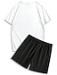 voordelige Bedrukte T-shirts voor heren-Voor heren Palmboom 2 stuks T-shirts sets Zomer tops Korte mouw Korte broek Strakke ronde hals Sport Casual Strandvakantie Buiten Urheilu Dagelijks 3D-afdrukken Zomer Zwart Groen Rood