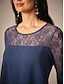 preiswerte abendkleider-Damen Teelänge Spitzenkleid Partykleid Cocktailkleid Kleid für Hochzeitsgäste Mode Party Modern Urlaub Hochzeitsgast Cocktailparty Normale Passform Einfarbig Langarm Rundhalsausschnitt Marineblau