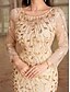 preiswerte Unter 129,99 $-Kleid Mutter der Braut Kleid Elegant Party Rundhalsausschnitt Bodendland Polyester Langarm mit Stickerei 2025