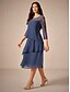 preiswerte abendkleider-Damen Teelänge Spitzenkleid Partykleid Cocktailkleid Kleid für Hochzeitsgäste Mode Party Modern Urlaub Hochzeitsgast Cocktailparty Normale Passform Einfarbig Langarm Rundhalsausschnitt Marineblau