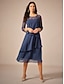 preiswerte abendkleider-Damen Teelänge Spitzenkleid Partykleid Cocktailkleid Kleid für Hochzeitsgäste Mode Party Modern Urlaub Hochzeitsgast Cocktailparty Normale Passform Einfarbig Langarm Rundhalsausschnitt Marineblau