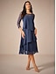 preiswerte abendkleider-Damen Teelänge Spitzenkleid Partykleid Cocktailkleid Kleid für Hochzeitsgäste Mode Party Modern Urlaub Hochzeitsgast Cocktailparty Normale Passform Einfarbig Langarm Rundhalsausschnitt Marineblau
