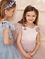 baratos Vestidos para Menina das Flores de Casamento-Vestido de Baile Comprimento dos Joelhos Daminha de Honra Quinceanera Frozen Elsa Meninas Vestido de Baile Fofo Tule com Ruchas Estilo Real Tutu Ajuste 3-16 Anos