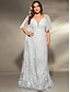 preiswerte Unter 129,99 $-Plus Size Kleid Brautmutter Kurven Kleid Elegant V-Ausschnitt Bodenlang Polyester Kurzarm mit Spitze
