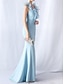 baratos AZUL-Vestidos de Quinceanera Sereia  Trompete Vestido Elegante Convidada de Casamento Longo Sem Mangas Decote em V Spandex com Babados