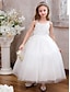 baratos Vestidos para Menina das Flores de Casamento-Vestido de Daminha de Flores Longo até o Tornozelo Quinceanera Sofia Rapunzel Meninas Vestido Fofo de Festas Tule com Aplicações Mini Vestido de Noiva de 3 a 16 Anos