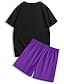 voordelige Bedrukte T-shirts voor heren-Voor heren Palmboom 2 stuks T-shirts sets Zomer tops Korte mouw Korte broek Strakke ronde hals Sport Casual Strandvakantie Buiten Urheilu Dagelijks 3D-afdrukken Zomer Zwart Groen Rood