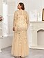 cheap Semi-formal / Cocktail-Mermaid Trumpet Floor Length Evening Gown Sparkle Plus Size Mother Of The Bride Long Sleeve Crew Neck Formal Champagne Mother Of the Bride Dress Tulle with Embroidery