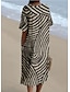 ieftine Rochie cu dungi și geometrică-Pentru femei Rochii Midi Rochie de Vară Rochie A line Vacanță Casual Stiluri de Plajă Ieșire Potrivire Largă Grafic Geometric Manșon scurt În V Roșu Claret Portocaliu Alburiu Gri Închis Vară