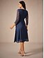preiswerte abendkleider-Damen Teelänge Spitzenkleid Partykleid Cocktailkleid Kleid für Hochzeitsgäste Mode Party Modern Urlaub Hochzeitsgast Cocktailparty Normale Passform Einfarbig Langarm Rundhalsausschnitt Marineblau