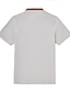 preiswerte Herren Elite Polo-Herren Polo Strick-Polopullover Formell Arbeit Umlegekragen Kurzarm Einfarbig Farbblock Frühling Schwarz Weiß Hellgrün Grau Polo