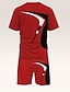 voordelige Bedrukte T-shirts voor heren-Voor heren Geometrisch 2 stuks T-shirts sets Zomer tops Korte mouw Korte broek Strakke ronde hals Sport Casual Buiten Urheilu Casual 3D-afdrukken Zomer Roodborstje Rood Rood