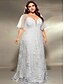 preiswerte Unter 129,99 $-Plus Size Kleid Brautmutter Kurven Kleid Elegant V-Ausschnitt Bodenlang Polyester Kurzarm mit Spitze