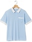 baratos Polo Clássico Masculino-Homens Camisa de golfe Polos Piquê Casual Trabalho Lapela gola pólo com nervuras Manga Curta Básico Moderno Bloco de cor Patchwork Bolsos Primavera Verão Normal Azul Claro Camisa de golfe