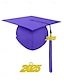 billige Damehatte-klasse af 2025 afgangshue med kvast og årstal charme – unisex mat finish mortarboard hat til high school og college ceremoni, flere farver