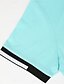 preiswerte Klassisches Poloshirt für Herren-Herren Baumwoll-Poloshirt Golfshirt Lässig Gerippter Polokragen Kurzarm Mode Basic Einfarbig Sportlich Logo Sommer Ganzjahres Schmale Passform Dunkelrot Schwarz Weiß Blau Leicht Grün