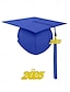 billige Damehatte-klasse af 2025 afgangshue med kvast og årstal charme – unisex mat finish mortarboard hat til high school og college ceremoni, flere farver