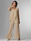 abordables Costumes-pantalons pour maman-Pantalon 3 pièces mère de la mariée invitée de mariage formelle élégante grande taille enroulée longueur sol en chiffon sans manches avec dentelle taille sur mesure gratuite