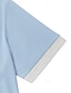 baratos Polo Clássico Masculino-Homens Camisa de golfe Polos Piquê Casual Trabalho Lapela gola pólo com nervuras Manga Curta Básico Moderno Bloco de cor Patchwork Bolsos Primavera Verão Normal Azul Claro Camisa de golfe
