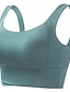 billiga Underkläder-Dam Plusstorlekar Tajta toppar Ensfärgat Sport Ärmlös Ärmlös Rund hals Crop Tops Gym Salvia grön Svart Vit Rodnande Rosa Dammig blå Sommar Vår Höst