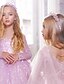 baratos Casamento &amp; Festas-Vestido de Florista Comprimento de Joelho Festa de 15 Anos Frozen Elsa Meninas Bonito Vestido de Formatura Tule com Estilo Real Tutu Ajuste de 3 a 16 Anos