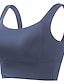 billiga Underkläder-Dam Plusstorlekar Tajta toppar Ensfärgat Sport Ärmlös Ärmlös Rund hals Crop Tops Gym Salvia grön Svart Vit Rodnande Rosa Dammig blå Sommar Vår Höst