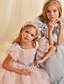 baratos Vestidos para Menina das Flores de Casamento-Vestido de Baile de Linha Reta com Cauda para Menina das Flores Aniversário Frozen Elsa Meninas Vestido de Formatura Bonito Tule com Camadas Estilo Real Tutu Tamanho 3-16 Anos