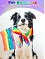 ieftine Accesorii de păr pentru femei-Eșarfă unisex cu imprimeu paisley și motive curcubeu pentru mândria - un accesoriu colorat LGBTQ+ pentru festivaluri, parade și ținute de zi cu zi