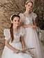 baratos Vestidos para Menina das Flores de Casamento-Vestido de Baile Cauda Varredura  Escova Vestido de Dama de Honra Casamento Festa Frozen Elsa Meninas Fofo Vestido de Formatura Tule com Pregas Estilo Real Tutu Costume 3-16 Anos