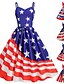 billige Uavhengighetsdagkjole-Kvinnenes patriotiske mini kjole A-line kjole glidende kjole av skulderen kjole avslappet utendørs ute vanlige passform amerikansk flagg ermeløs spaghetti stropp