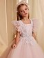 baratos Vestidos para Menina das Flores de Casamento-Vestido de Baile de Linha Reta com Cauda para Menina das Flores Aniversário Frozen Elsa Meninas Vestido de Formatura Bonito Tule com Camadas Estilo Real Tutu Tamanho 3-16 Anos