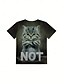 cheap Animals tee-Women&#039;s T Shirt Summer Tops Graphic Cat Classic Casual Short Sleeve Crew Neck Crop Tops Daily Weekend Print Black and gray Light Grey Summer Spring Fall