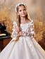 baratos Vestidos para Menina das Flores de Casamento-Vestido de Bola Com Cauda de Arrasto  Escova Vestido de Padrinho de Flores Primeira Comunhão Frozen Elsa Meninas Vestido de Formatura Fofo Tule com Tutu Estilo Real Pregueado para 3-16 Anos