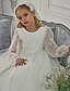 baratos Vestidos para Menina das Flores de Casamento-Vestido de Dama de Honra de Comprimento Knee Gown para Quinceanera Frozen Elsa Meninas Vestido Prom Bonito Tule com Estilo Tutu Royal Ajuste de 3-16 Anos