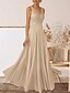 billige Bryllupsgæstekjoler-A-Line Bryllupsgæst Kjoler Elegant Kjole Bryllupsgæst Engagement Gulvlængde Uden Ærmer V-Hals Efterårs Bryllupsgæst Chiffon med Applikationer