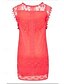 economico Abiti in pizzo bianco-Per donna Mini Abito Abito Bianco Moda Classico Moderno All&#039;aperto Vacanza Ferie Vestibilità regolare Semplice Senza Maniche Girocollo Nero Bianco Rosso Estate