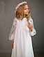 abordables niños tutús-Vestido de Niña de Flores en Corte de Baile Largo a la Rodilla Quinceañera Frozen Elsa Niñas Lindos Vestido de Prom Tulle con Fruncidos Estilo Real Tutu Talla 3-16 Años