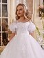 baratos Vestidos para Menina das Flores de Casamento-Vestido de Menina das Flores para Quinceanera Comprido de Tulle com Estilo Real e Corte Príncipe para Meninas de 3 a 16 Anos