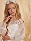 baratos Casamento &amp; Festas-Vestido de Baile Cauda  Rabo de Peixe Vestido de Dama de Flores Primeira Comunhão Frozen Elsa Meninas Vestido Fofo de Formatura Tule com Ruched Estilo Real Tutu para 3-16 Anos